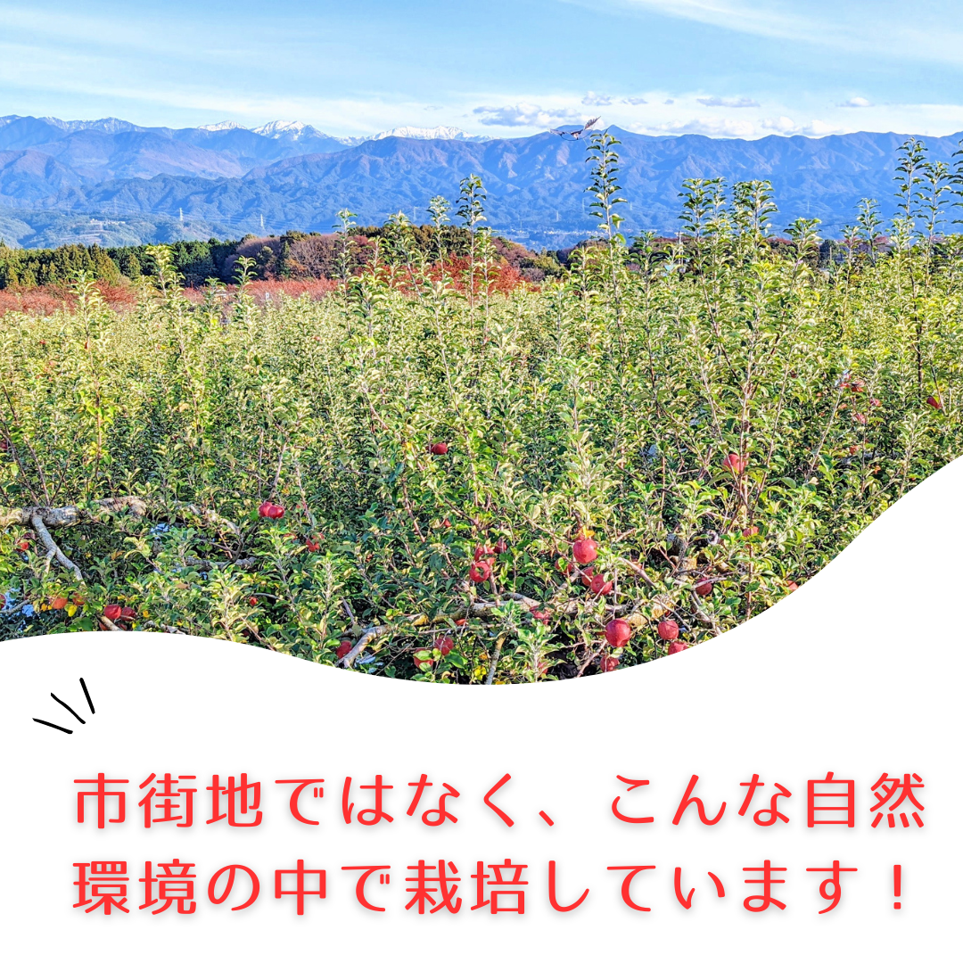 画像に alt 属性が指定されていません。ファイル名: DAISHIZEN1.png